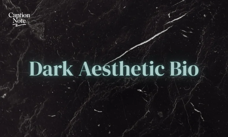 Dark Aesthetic Bio for Instagram