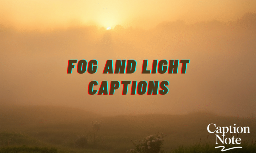 Fog and Light Captions