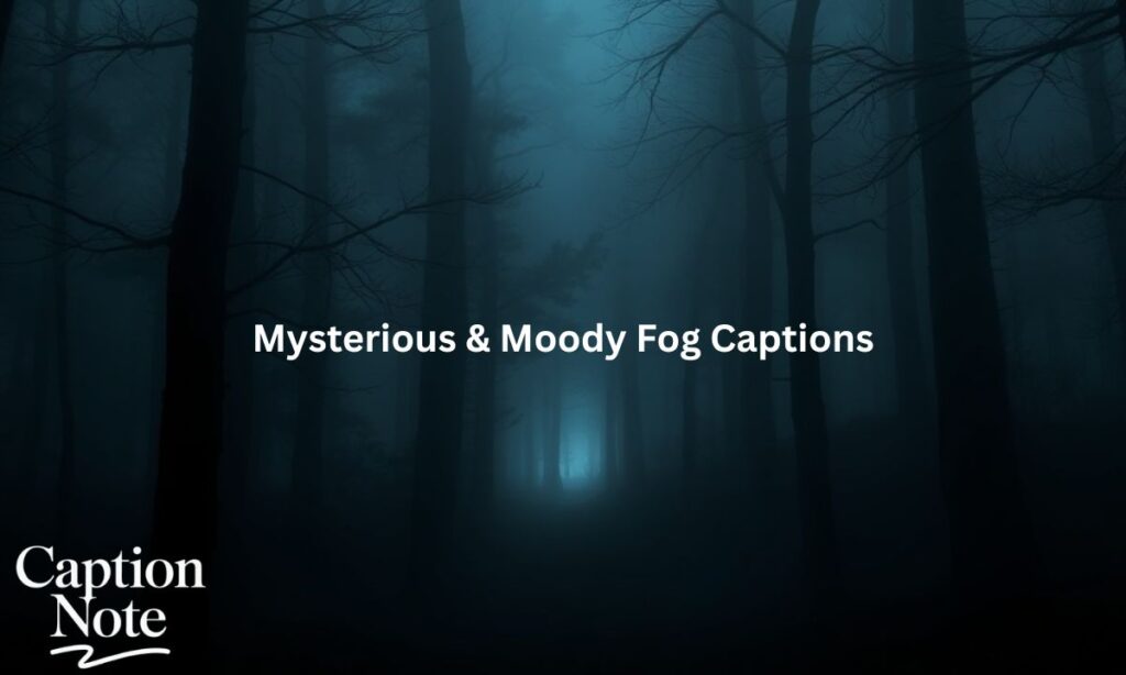 Mysterious & Moody Fog Captions