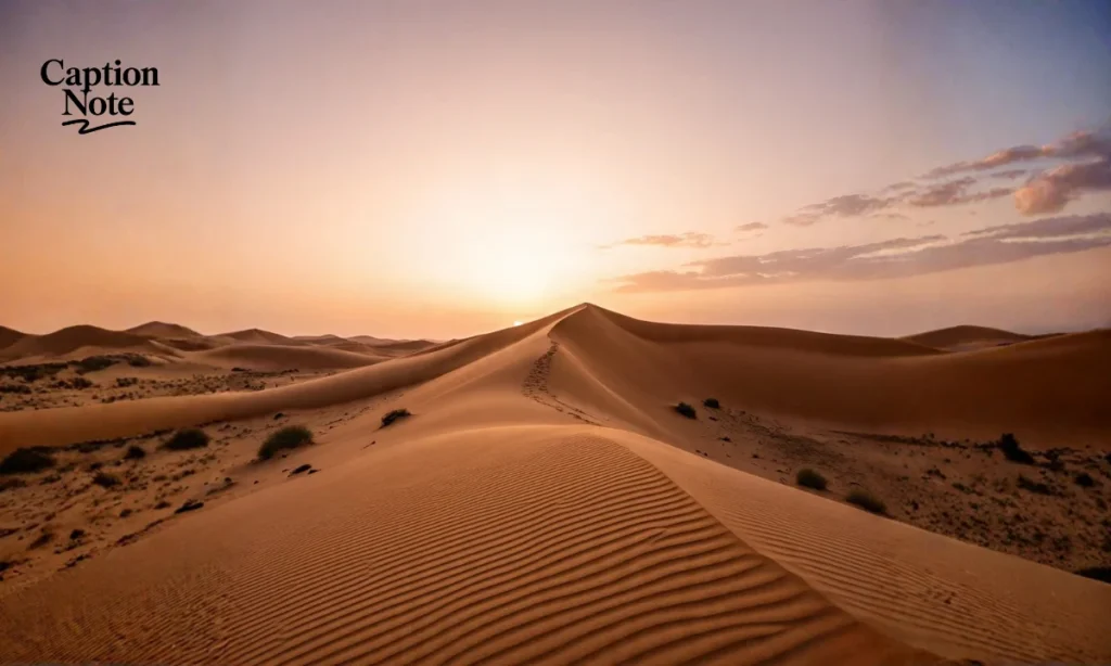 Desert Captions For Instagram (1)